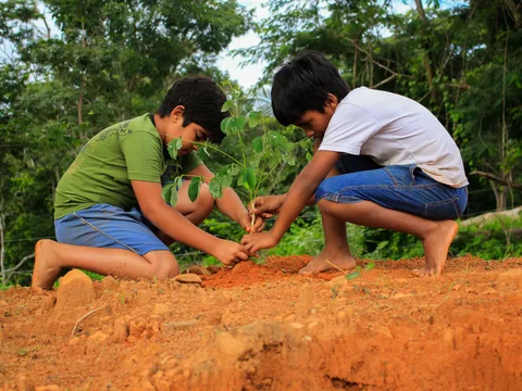 Two young boys planting a tree outdoors.