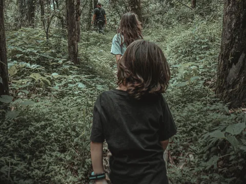 Family group on a hiking adventure walking along a lush forest path in summertime.
