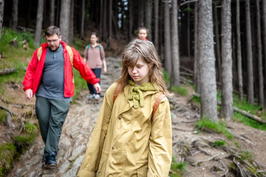 A family walking together along a forest trail